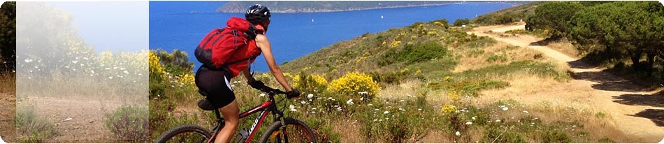 Noleggio bikes Isola d'Elba